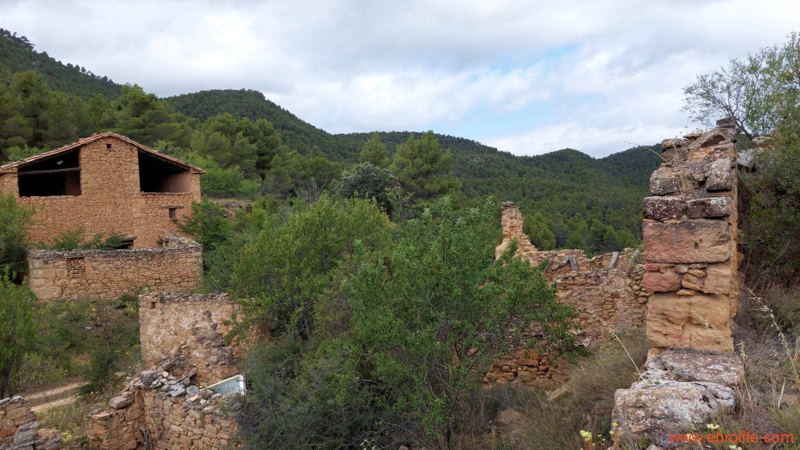 1 bedroom Finca/Country House for sale in Monroyo - € 390,000 (Ref: 8433718)