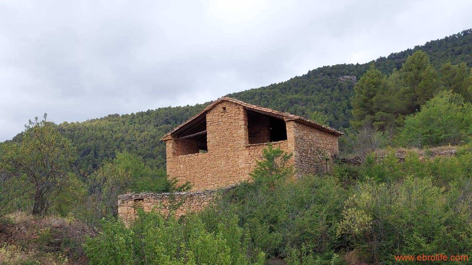 1 bedroom Finca/Country House for sale in Monroyo - € 390,000 (Ref: 8433718)