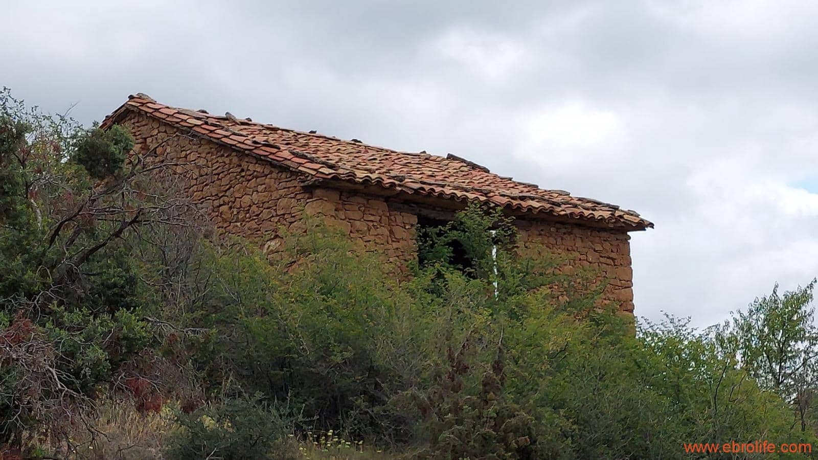 1 bedroom Finca/Country House for sale in Monroyo - € 390,000 (Ref: 8433718)