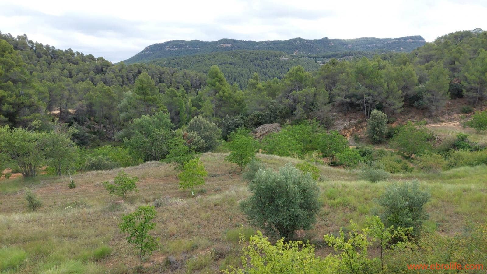 1 bedroom Finca/Country House for sale in Monroyo - € 390,000 (Ref: 8433718)