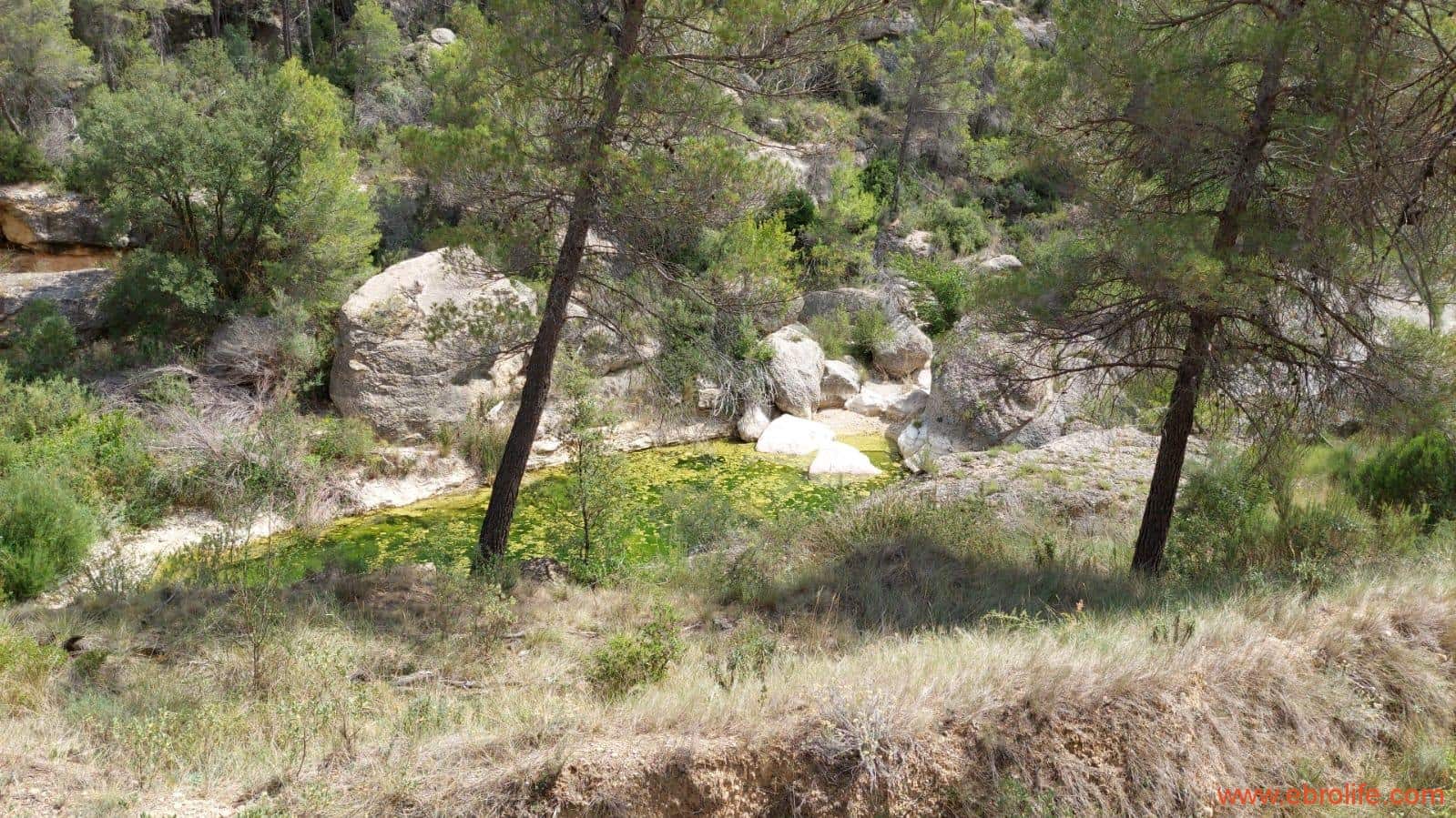 1 bedroom Finca/Country House for sale in Monroyo - € 390,000 (Ref: 8433718)