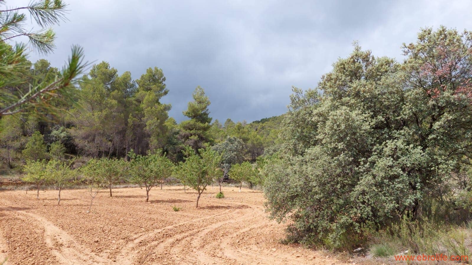 1 bedroom Finca/Country House for sale in Monroyo - € 390,000 (Ref: 8433718)