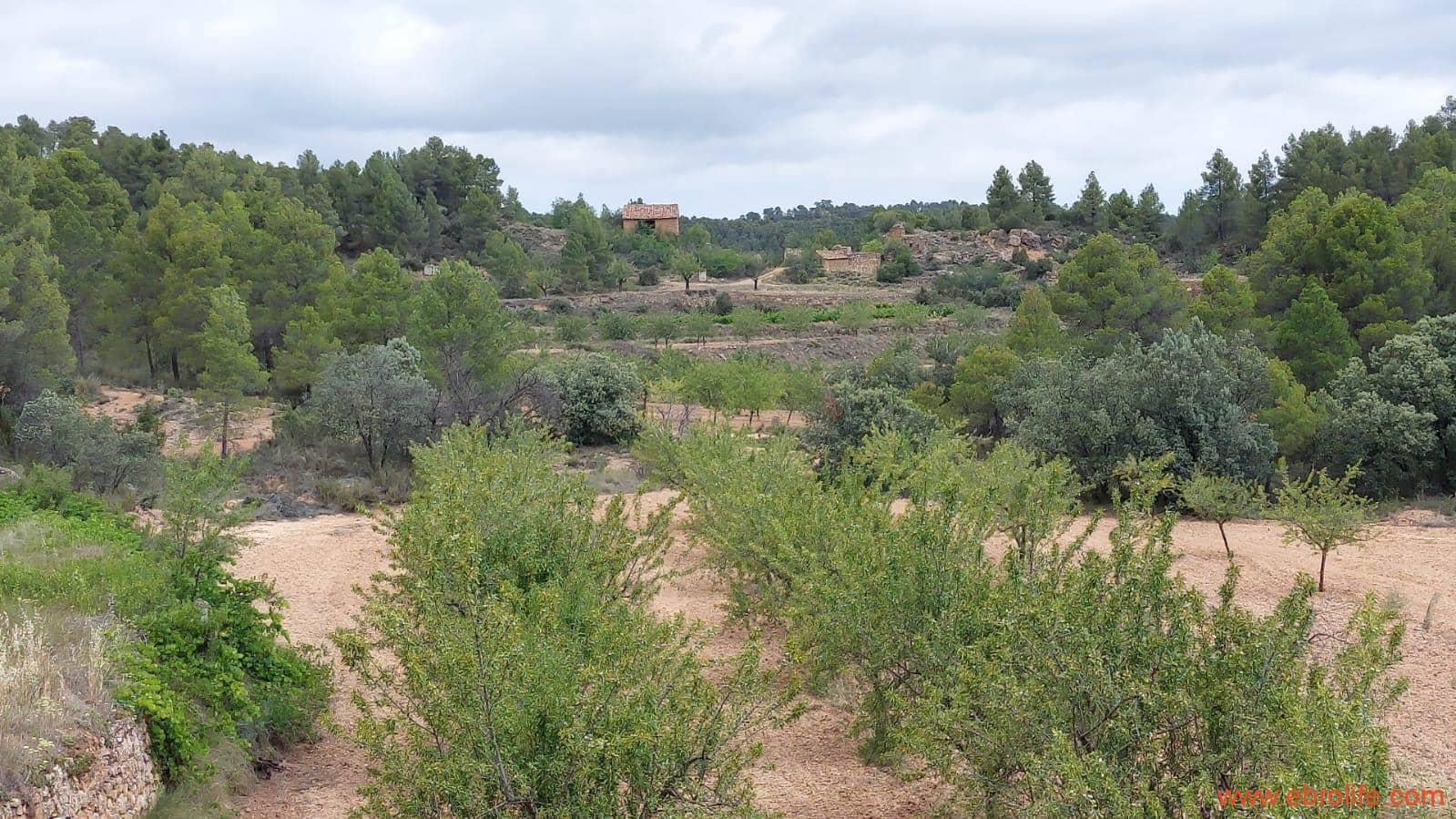 1 bedroom Finca/Country House for sale in Monroyo - € 390,000 (Ref: 8433718)