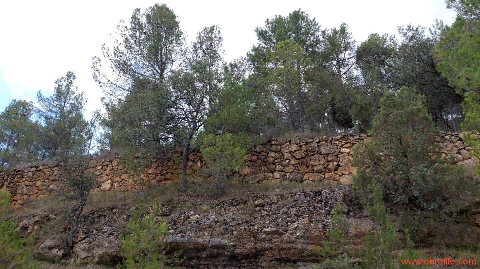 1 bedroom Finca/Country House for sale in Monroyo - € 390,000 (Ref: 8433718)