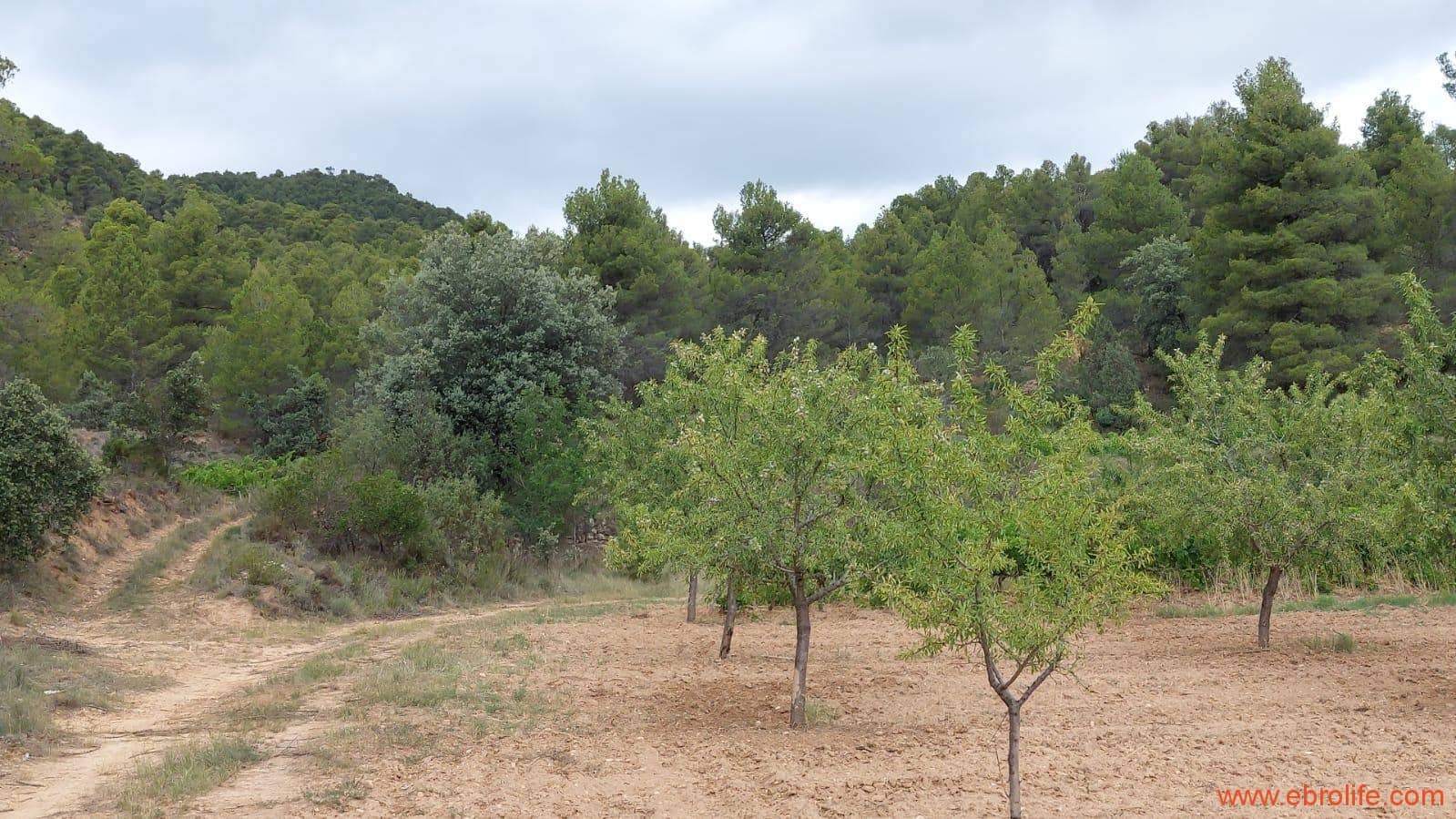 1 bedroom Finca/Country House for sale in Monroyo - € 390,000 (Ref: 8433718)