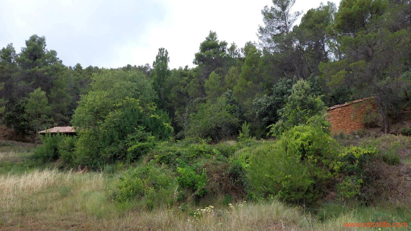 1 bedroom Finca/Country House for sale in Monroyo - € 390,000 (Ref: 8433718)