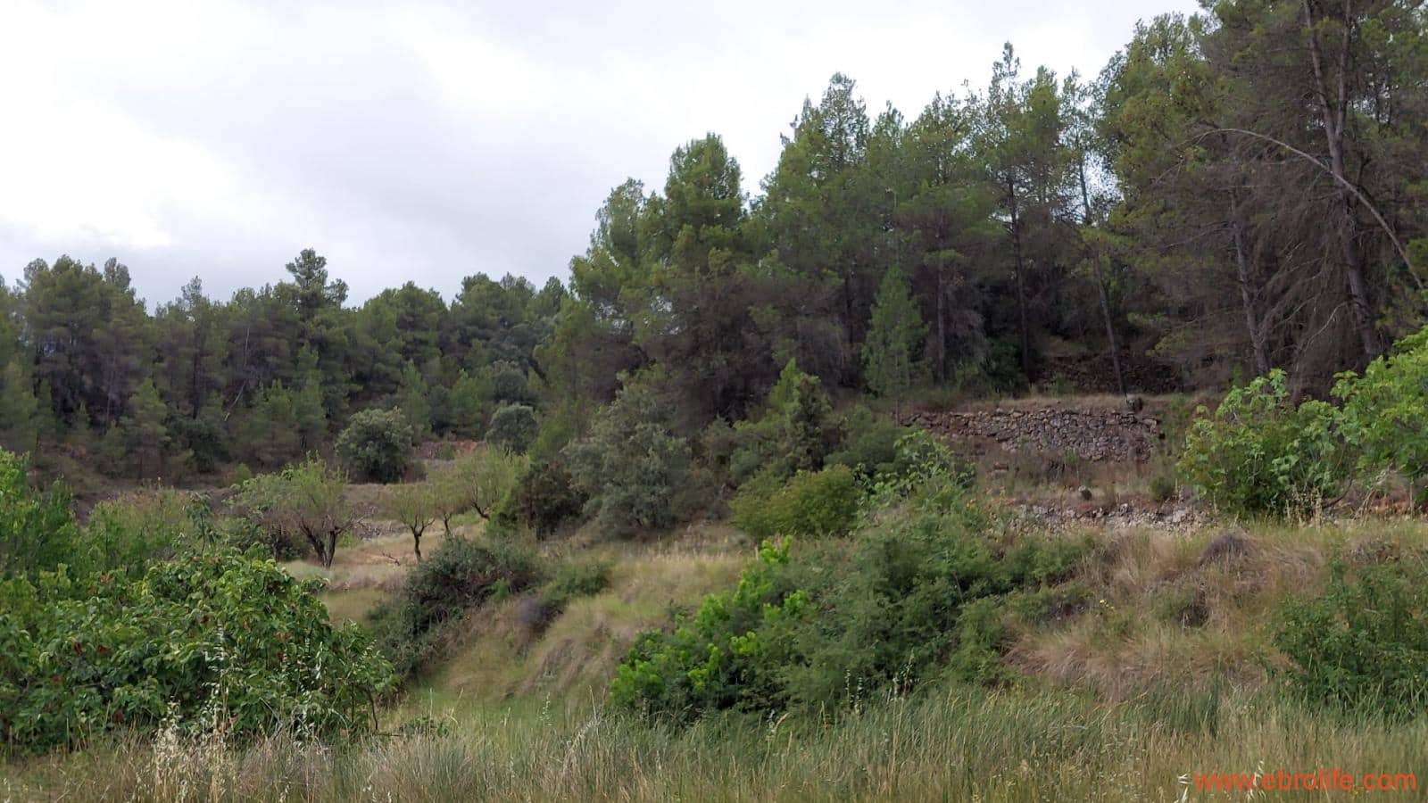 1 bedroom Finca/Country House for sale in Monroyo - € 390,000 (Ref: 8433718)