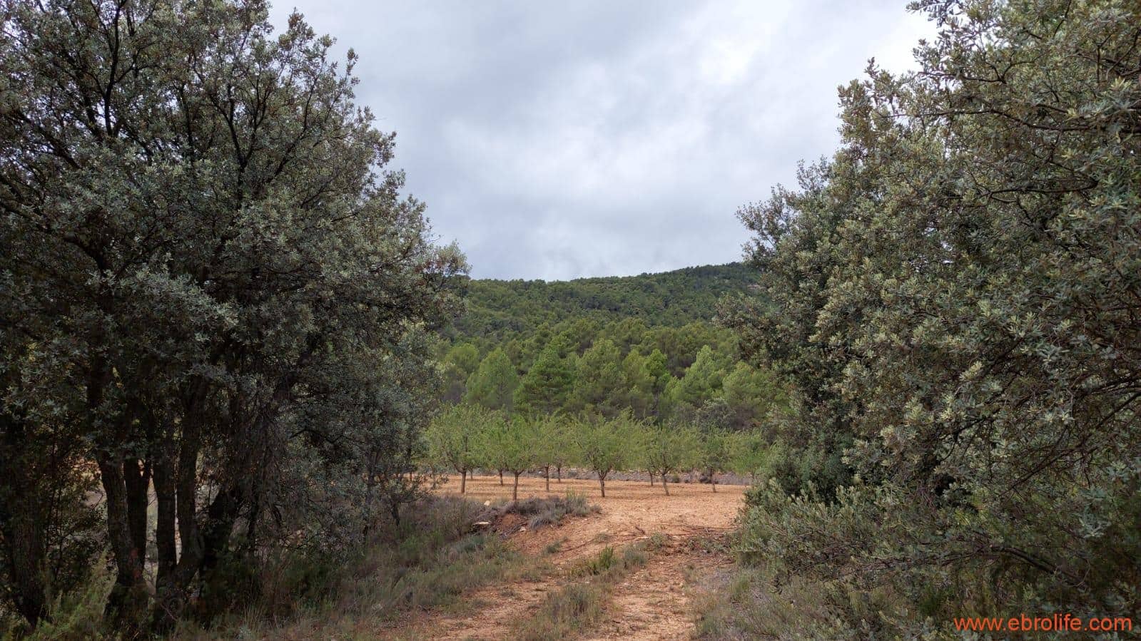 1 bedroom Finca/Country House for sale in Monroyo - € 390,000 (Ref: 8433718)