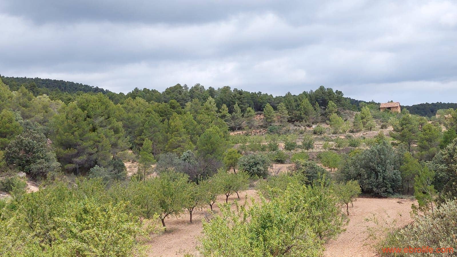 1 bedroom Finca/Country House for sale in Monroyo - € 390,000 (Ref: 8433718)