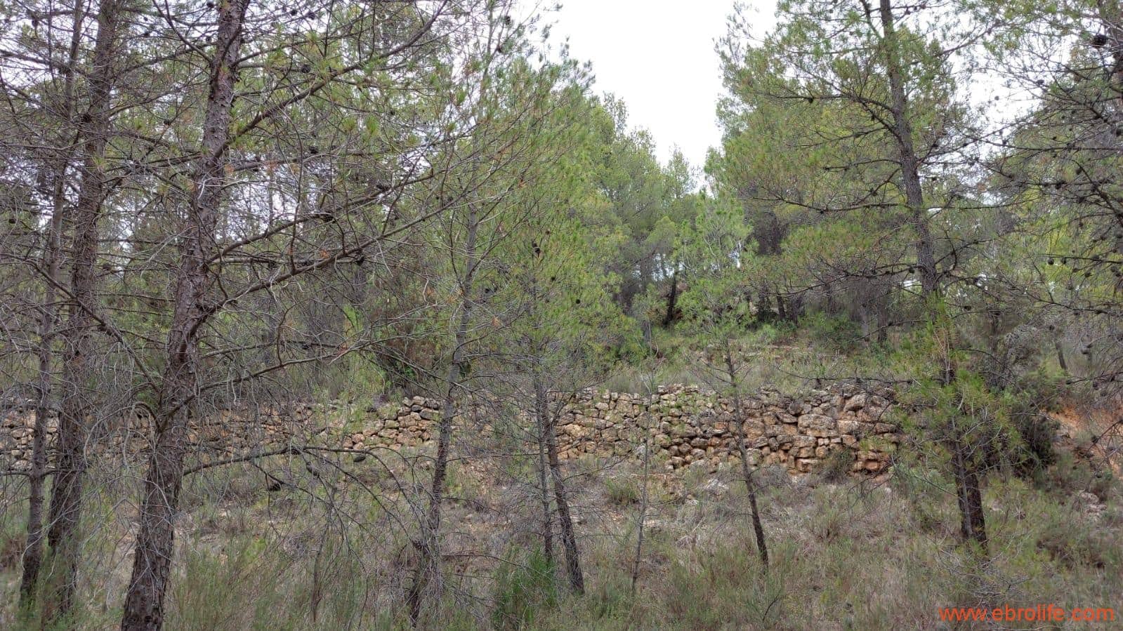 1 bedroom Finca/Country House for sale in Monroyo - € 390,000 (Ref: 8433718)