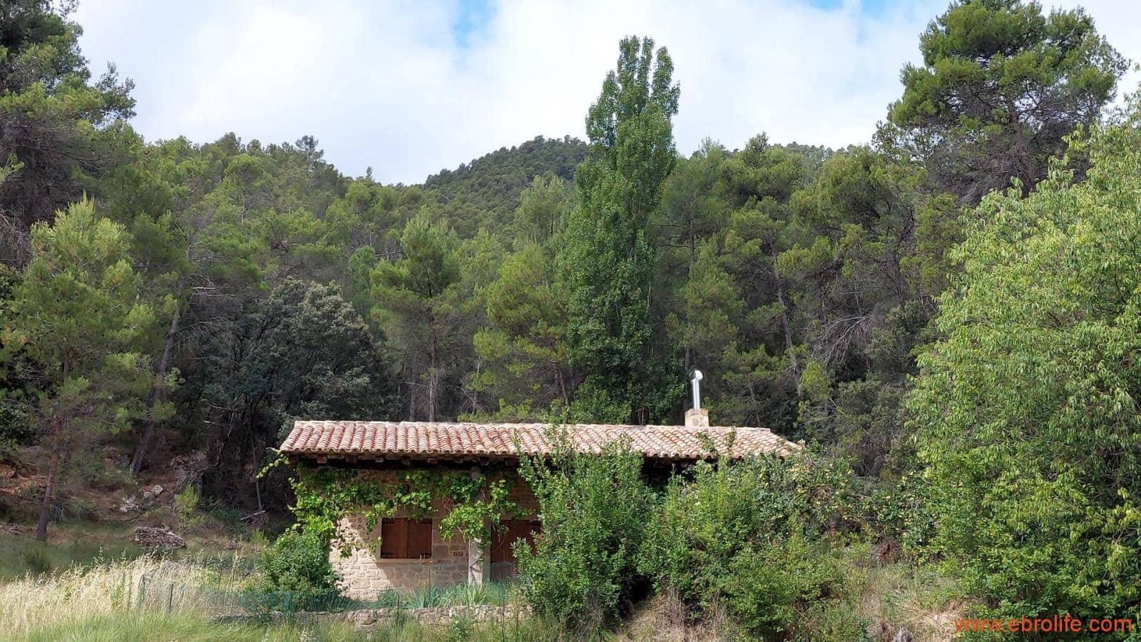 1 bedroom Finca/Country House for sale in Monroyo - € 390,000 (Ref: 8433718)