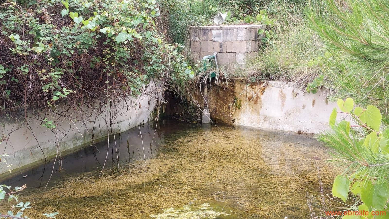 1 bedroom Finca/Country House for sale in Monroyo - € 390,000 (Ref: 8433718)