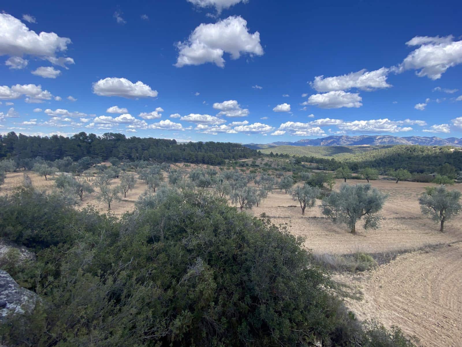 2 soveværelse Villa til salg i Arens de Lledo med swimmingpool - € 235.000 (Ref: 8490606)