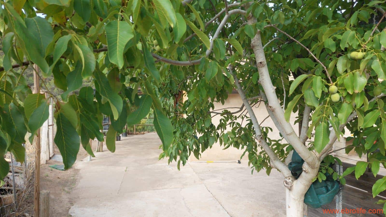 2 soverom Finca/Herregård til salgs i Caseres - € 159 000 (Ref: 8495884)