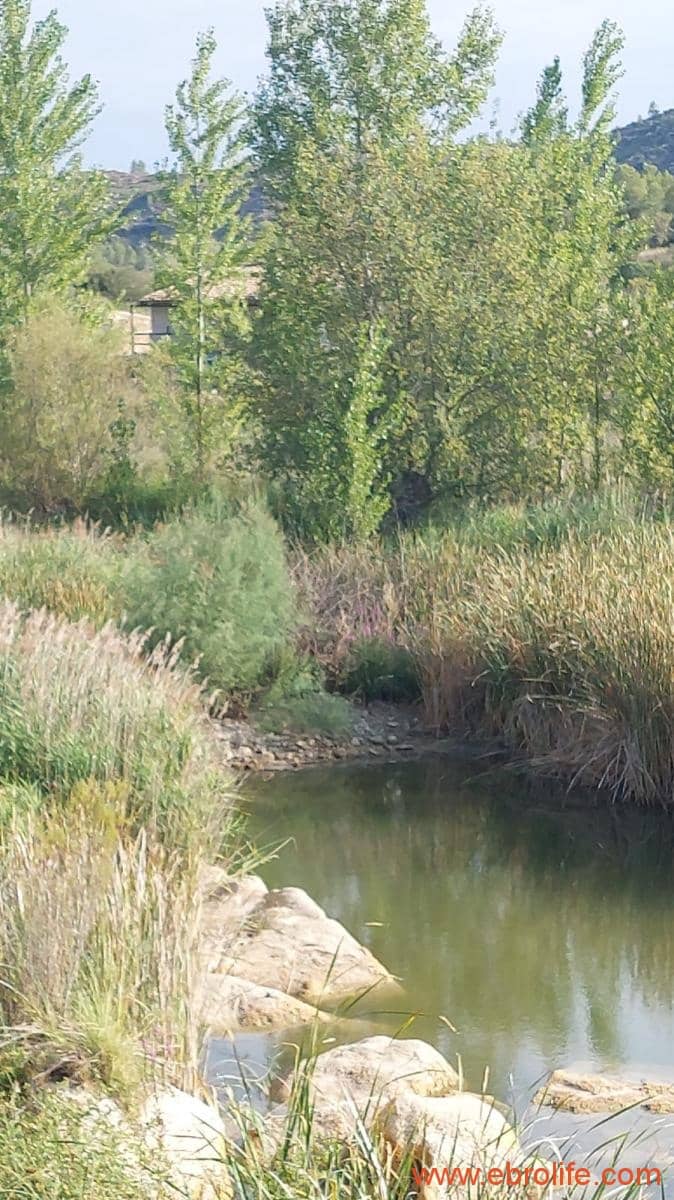 2 soverom Finca/Herregård til salgs i Caseres - € 159 000 (Ref: 8495884)