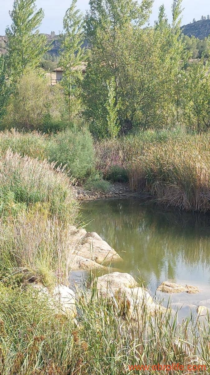 2 soverom Finca/Herregård til salgs i Caseres - € 159 000 (Ref: 8495884)