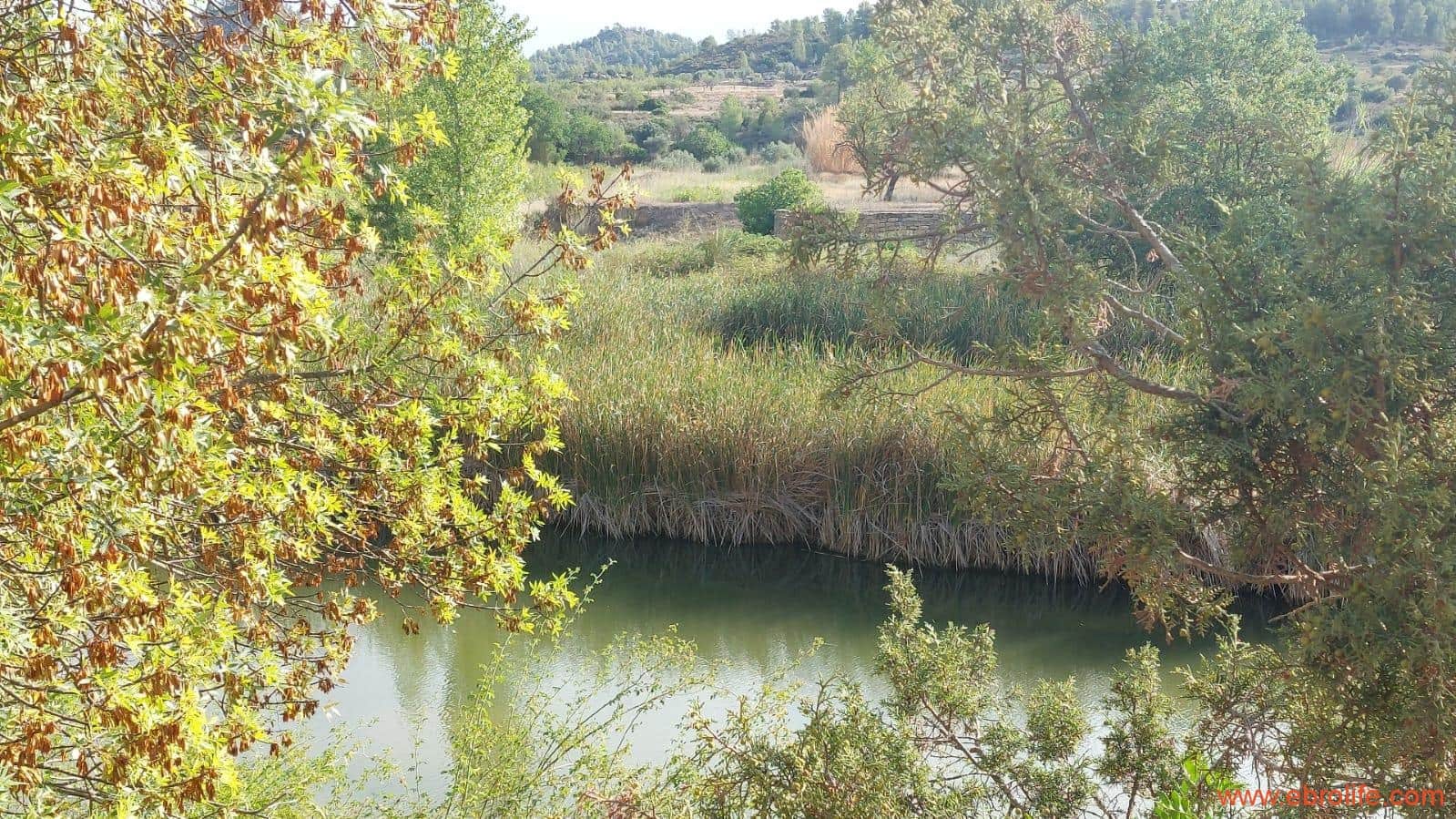 2 soverom Finca/Herregård til salgs i Caseres - € 159 000 (Ref: 8495884)