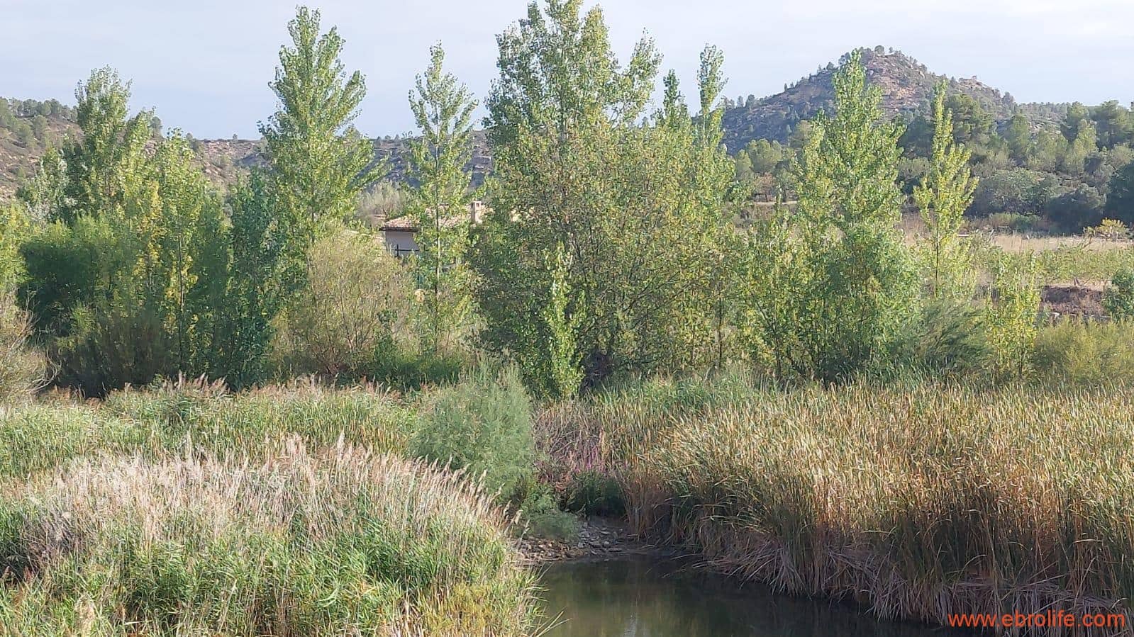 2 soverom Finca/Herregård til salgs i Caseres - € 159 000 (Ref: 8495884)