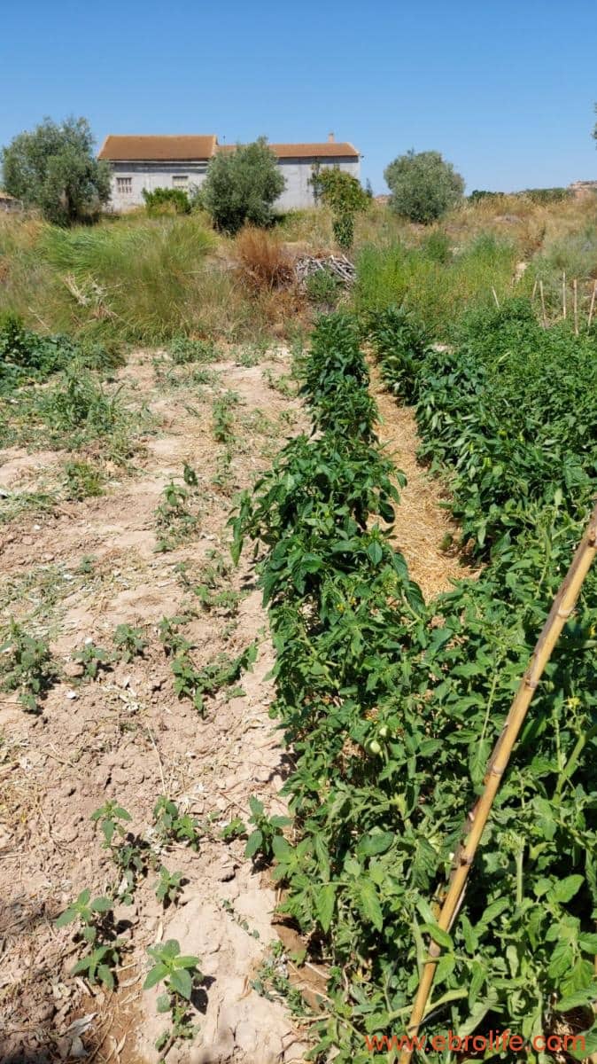 2 soveværelse Finca/Landehus til salg i Caspe - € 120.000 (Ref: 8527865)