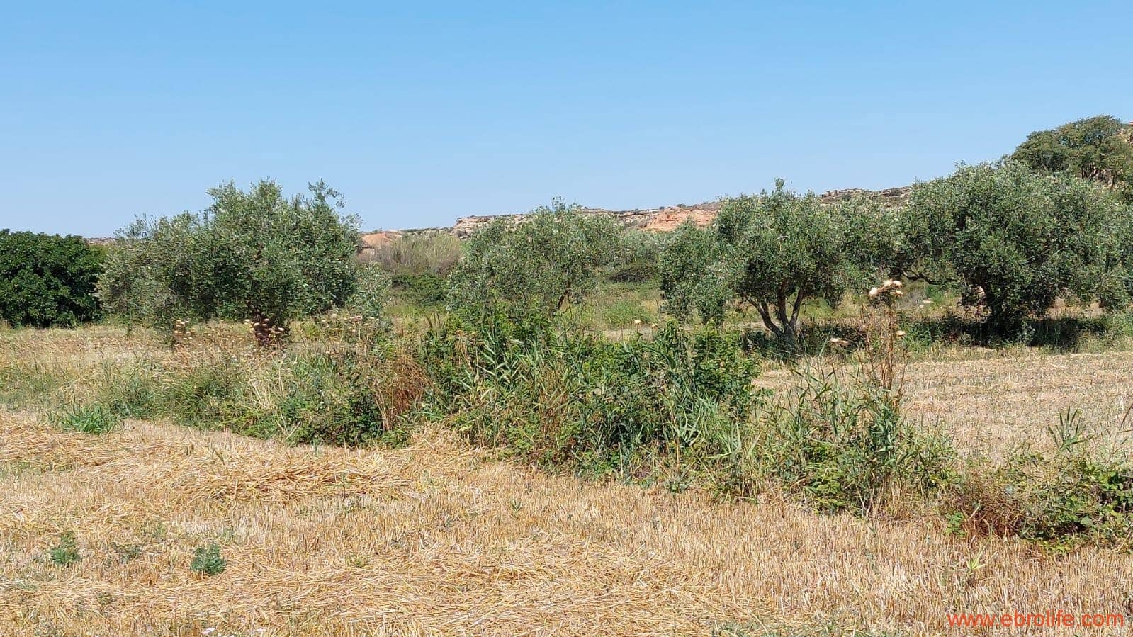 2 soveværelse Finca/Landehus til salg i Caspe - € 120.000 (Ref: 8527865)