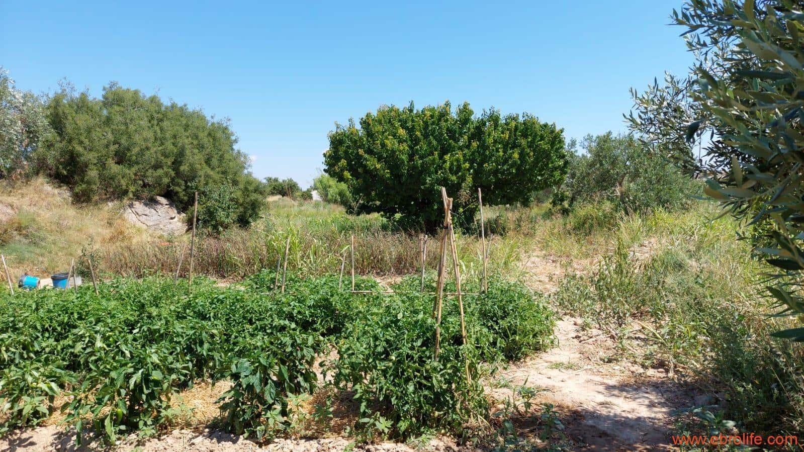 2 soveværelse Finca/Landehus til salg i Caspe - € 120.000 (Ref: 8527865)