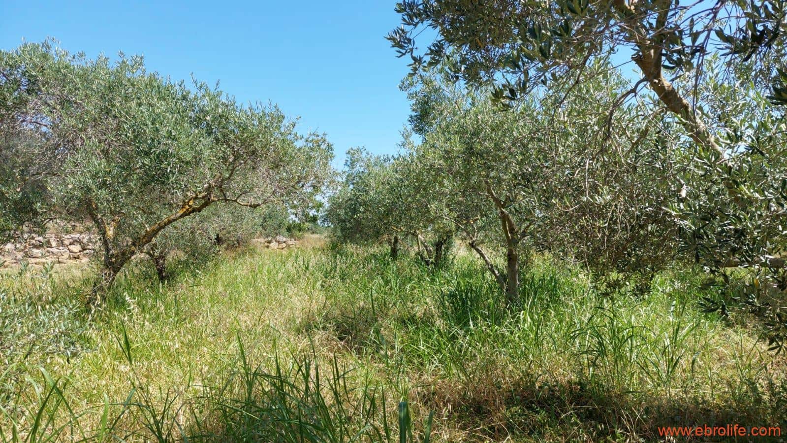 2 soveværelse Finca/Landehus til salg i Caspe - € 120.000 (Ref: 8527865)