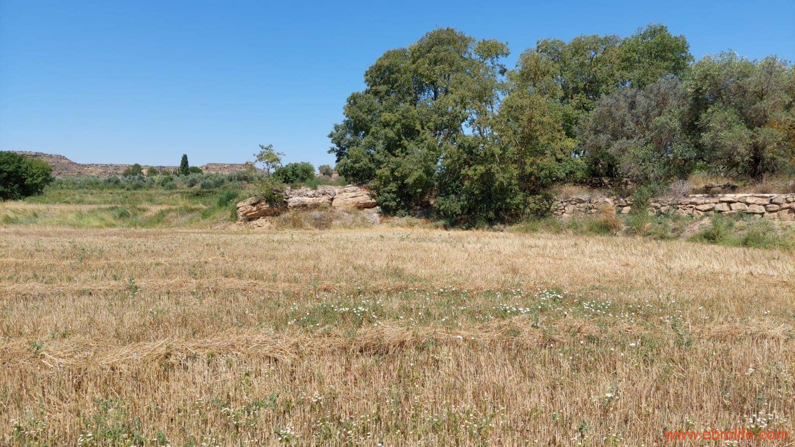 2 soveværelse Finca/Landehus til salg i Caspe - € 120.000 (Ref: 8527865)