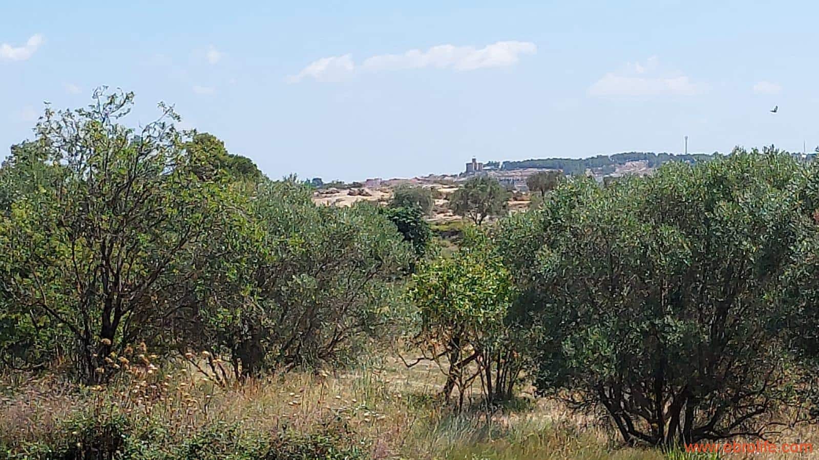 2 soveværelse Finca/Landehus til salg i Caspe - € 120.000 (Ref: 8527865)