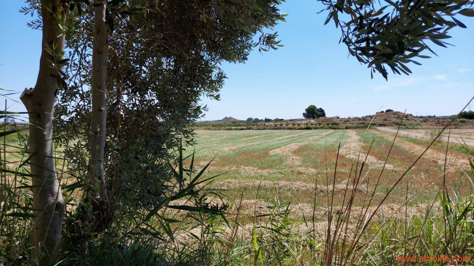 2 soveværelse Finca/Landehus til salg i Caspe - € 120.000 (Ref: 8527865)