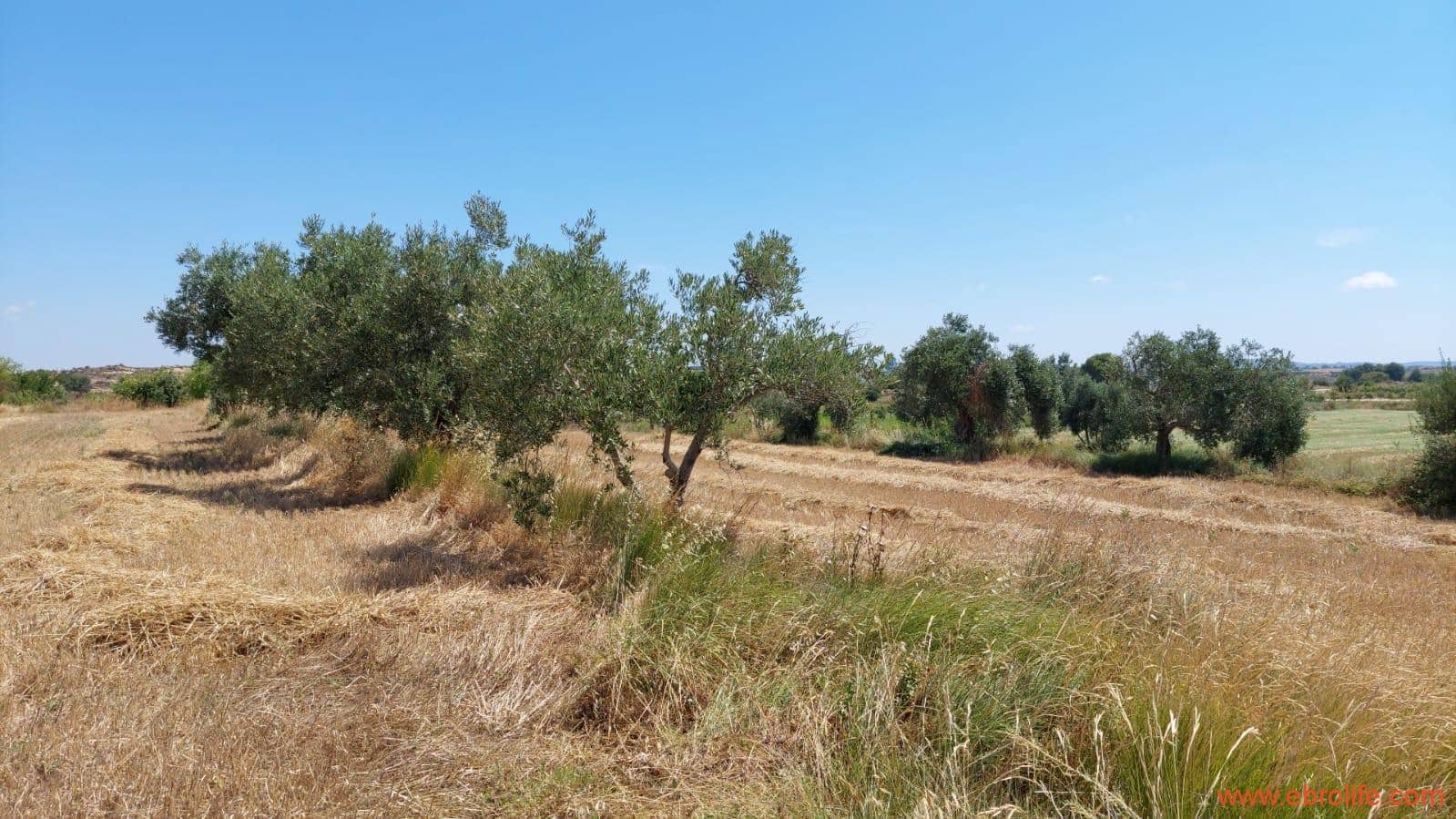 2 soveværelse Finca/Landehus til salg i Caspe - € 120.000 (Ref: 8527865)