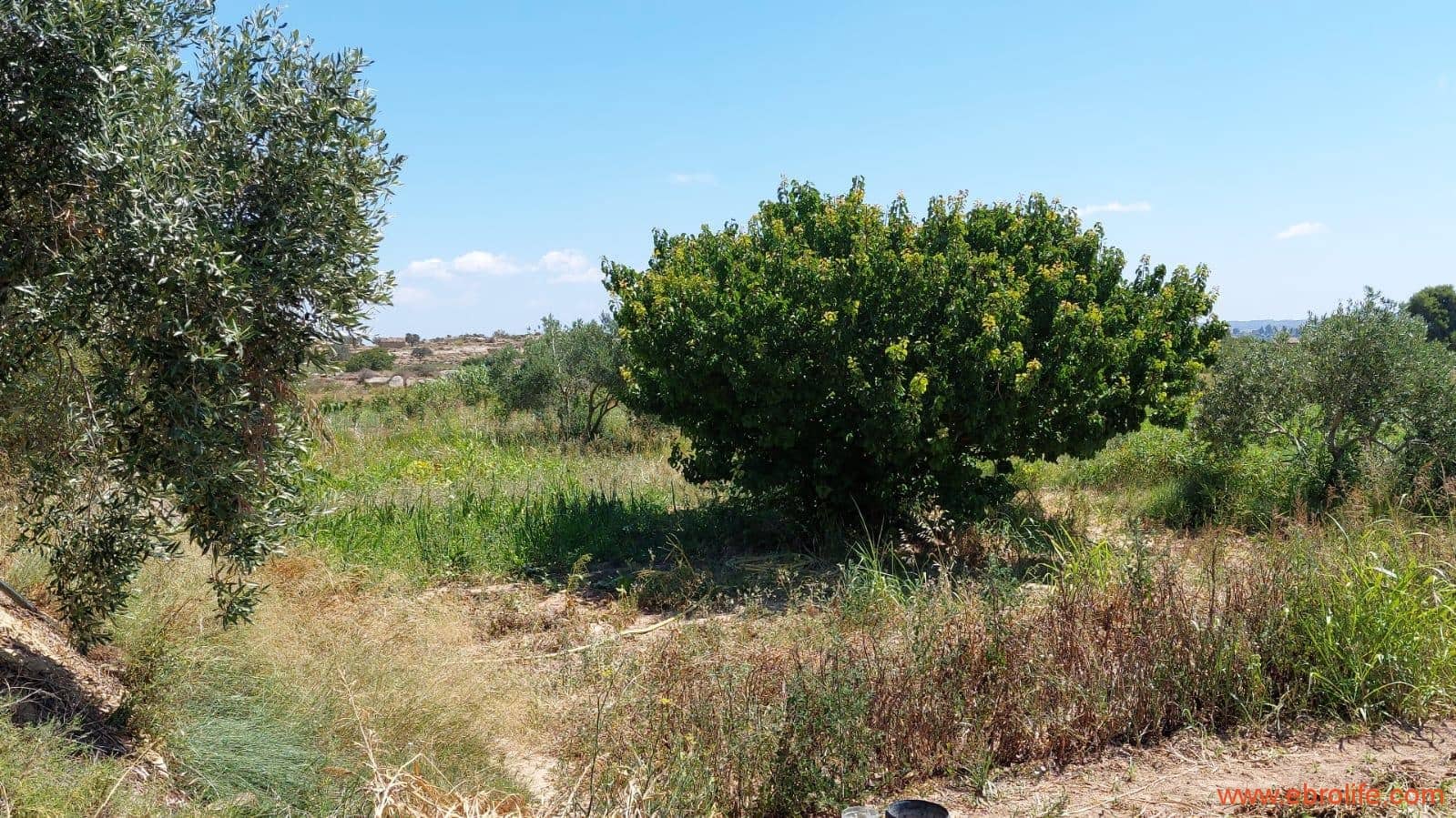 2 soveværelse Finca/Landehus til salg i Caspe - € 120.000 (Ref: 8527865)