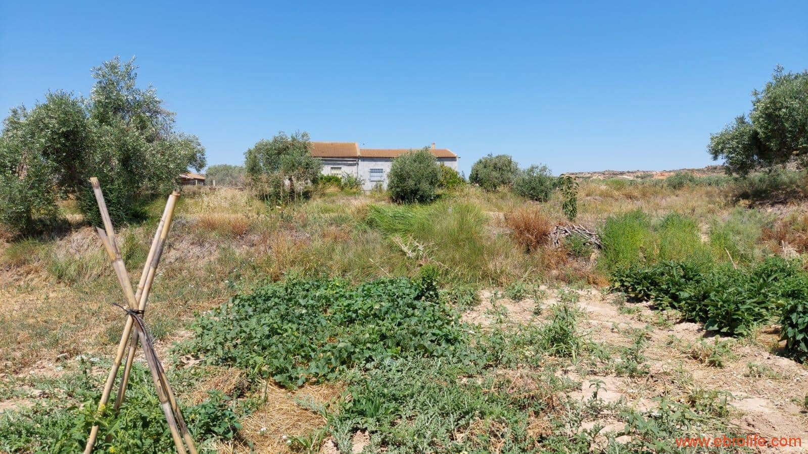 2 soveværelse Finca/Landehus til salg i Caspe - € 120.000 (Ref: 8527865)
