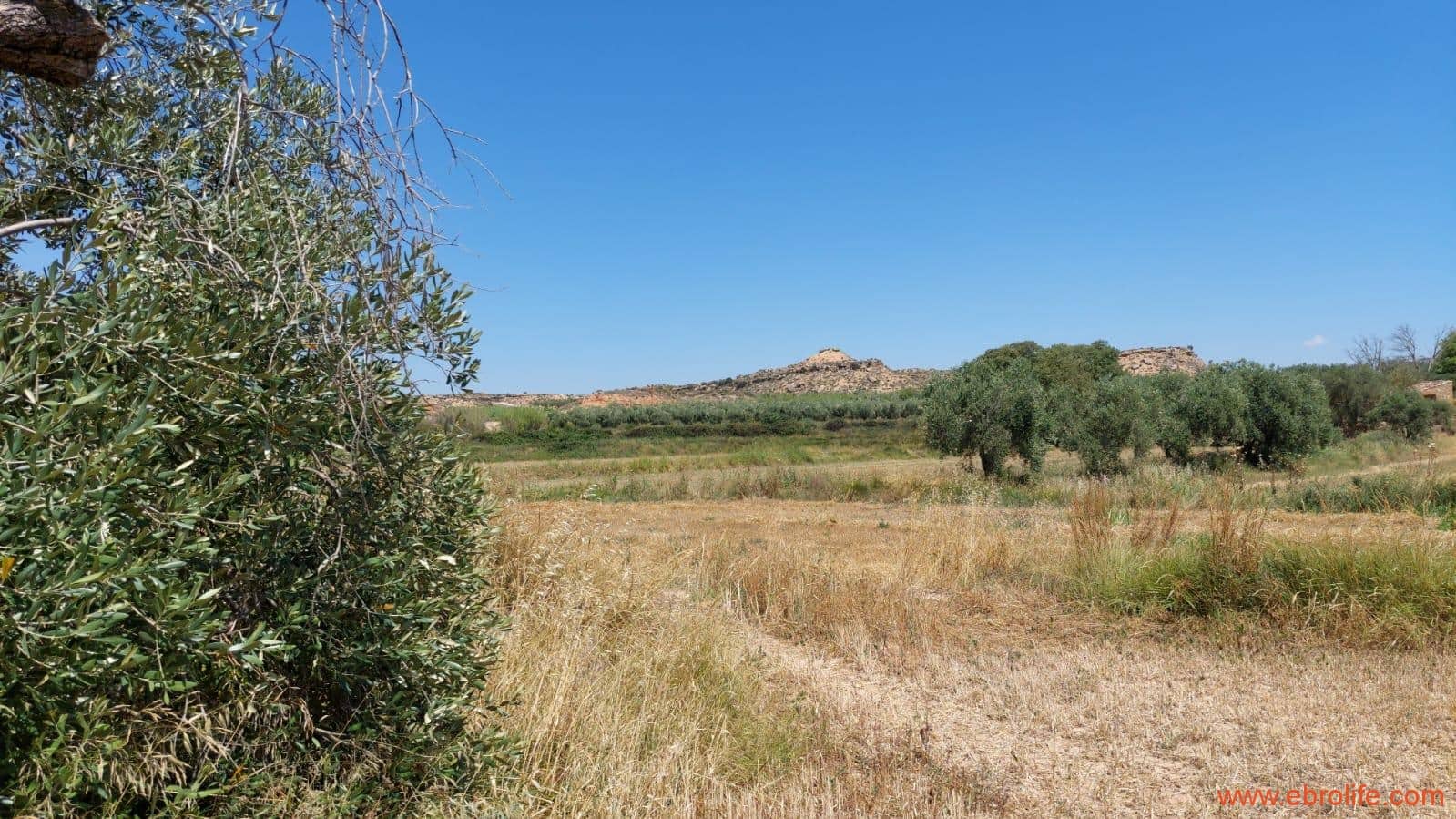 2 soveværelse Finca/Landehus til salg i Caspe - € 120.000 (Ref: 8527865)