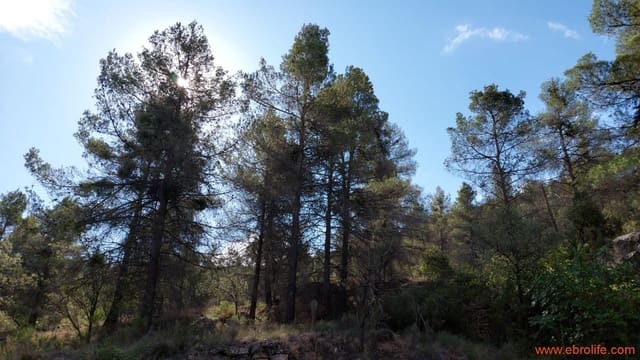 1 bedroom Finca/Country House for sale in Fórnoles - € 70,000 (Ref: 8539772)