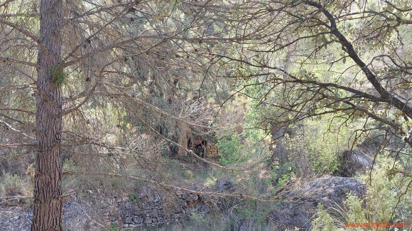 1 soveværelse Finca/Landehus til salg i Fornoles - € 70.000 (Ref: 8539772)