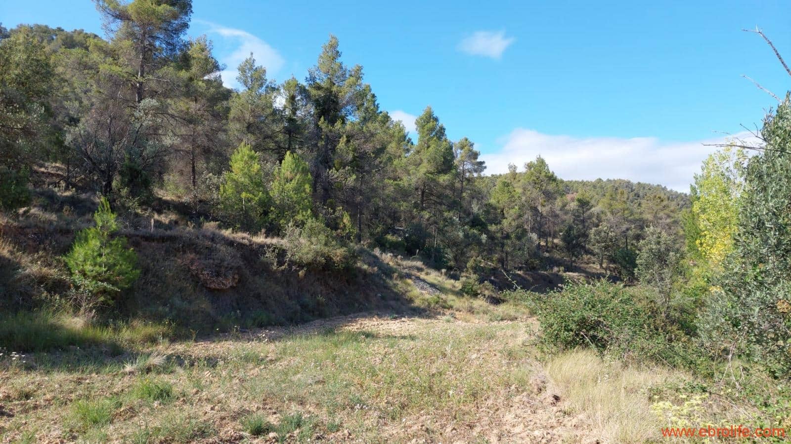 1 soveværelse Finca/Landehus til salg i Fornoles - € 70.000 (Ref: 8539772)