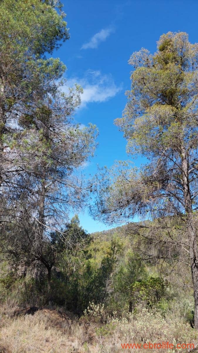 1 soveværelse Finca/Landehus til salg i Fornoles - € 70.000 (Ref: 8539772)