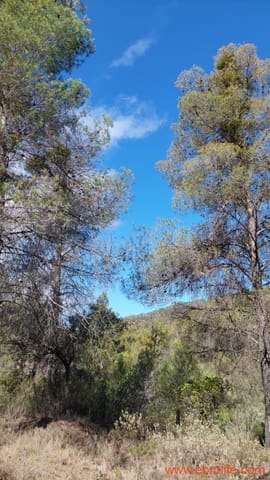 1 bedroom Finca/Country House for sale in Fórnoles - € 70,000 (Ref: 8539772)