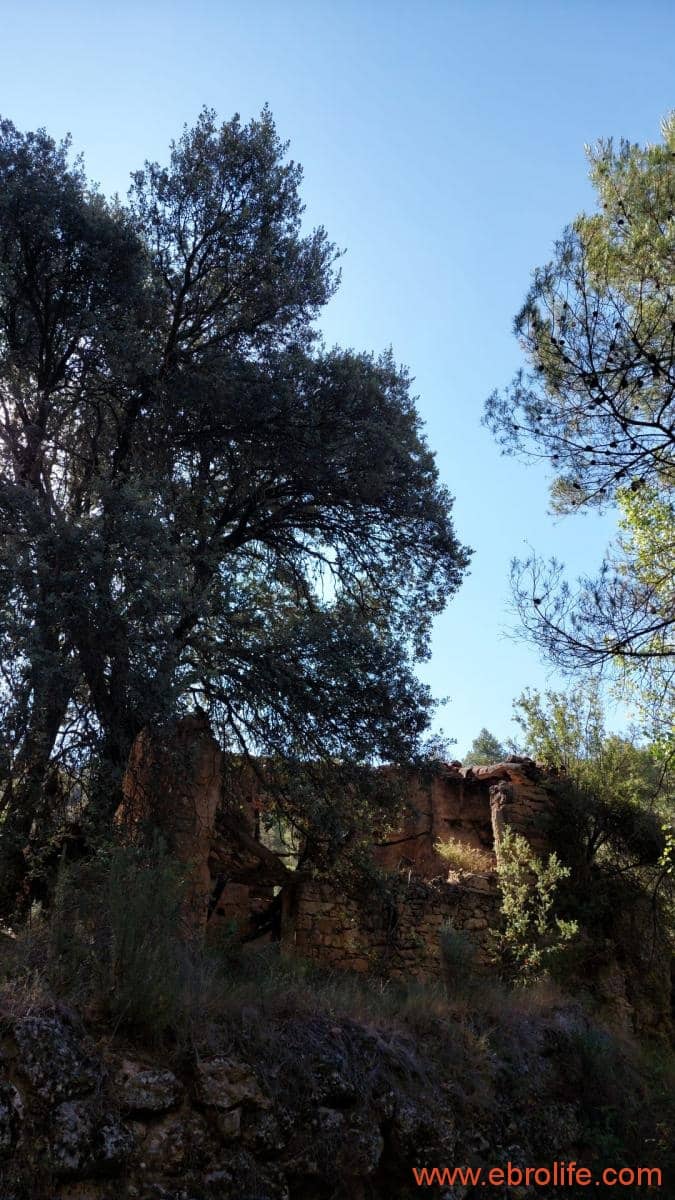 1 soveværelse Finca/Landehus til salg i Fornoles - € 70.000 (Ref: 8539772)