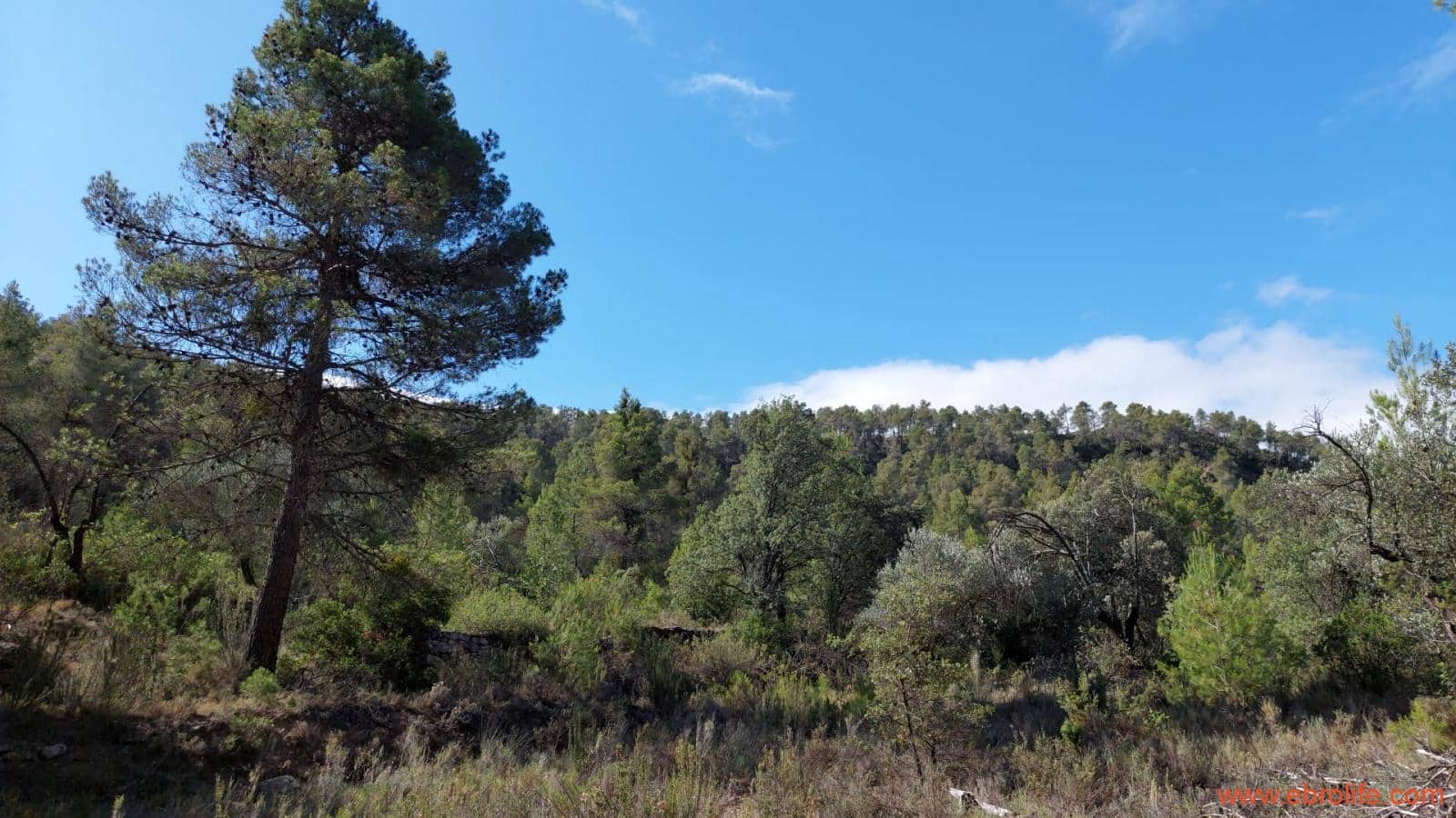 1 soveværelse Finca/Landehus til salg i Fornoles - € 70.000 (Ref: 8539772)