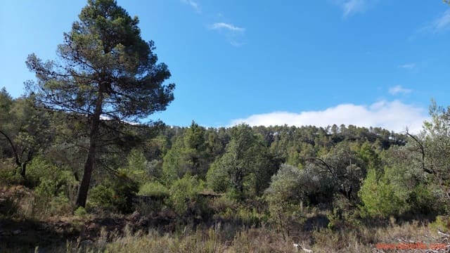 1 bedroom Finca/Country House for sale in Fórnoles - € 70,000 (Ref: 8539772)