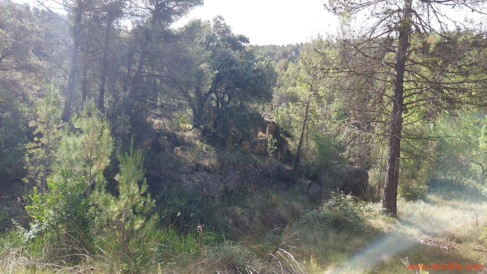 1 soveværelse Finca/Landehus til salg i Fornoles - € 70.000 (Ref: 8539772)