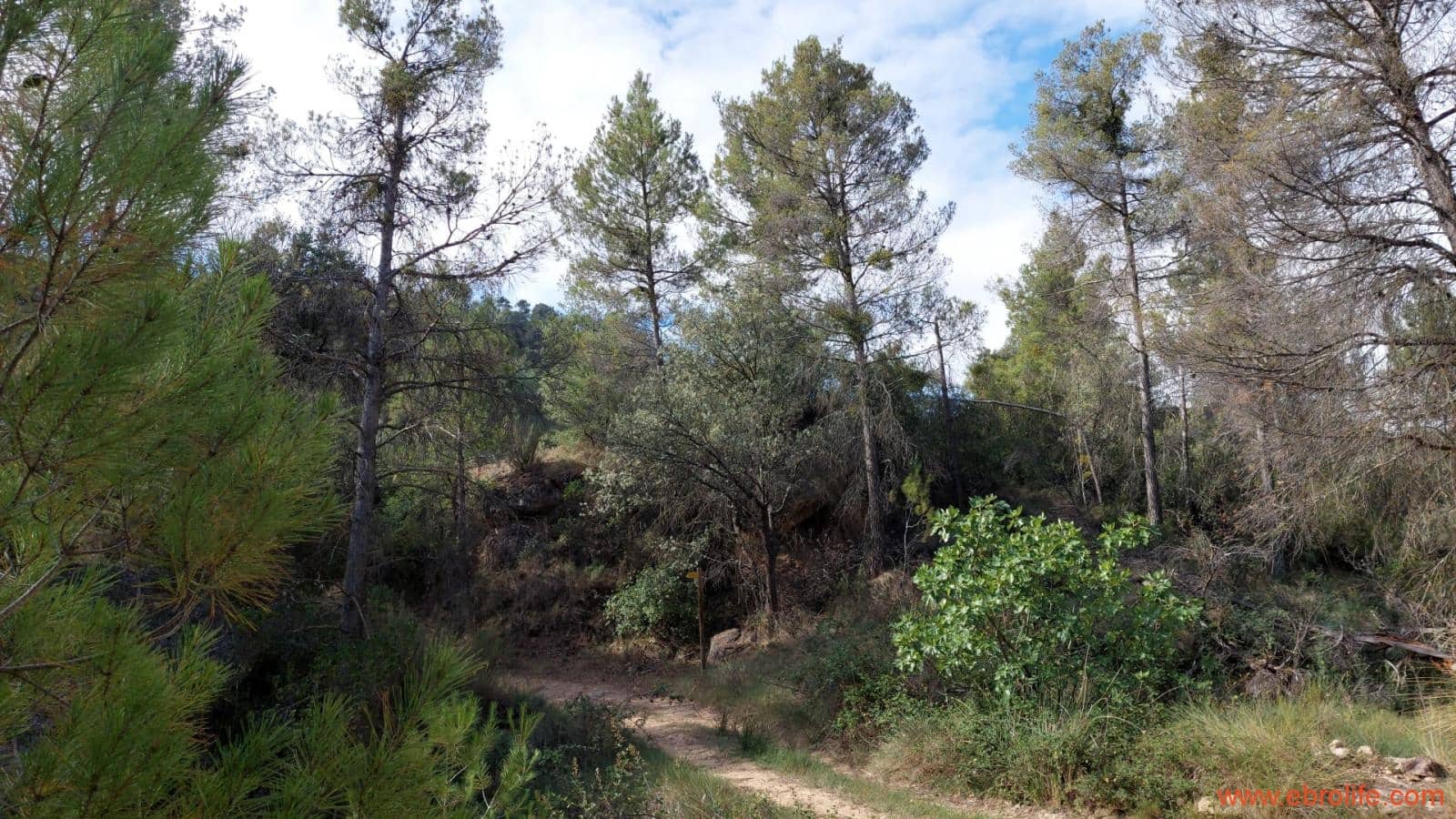 1 soveværelse Finca/Landehus til salg i Fornoles - € 70.000 (Ref: 8539772)