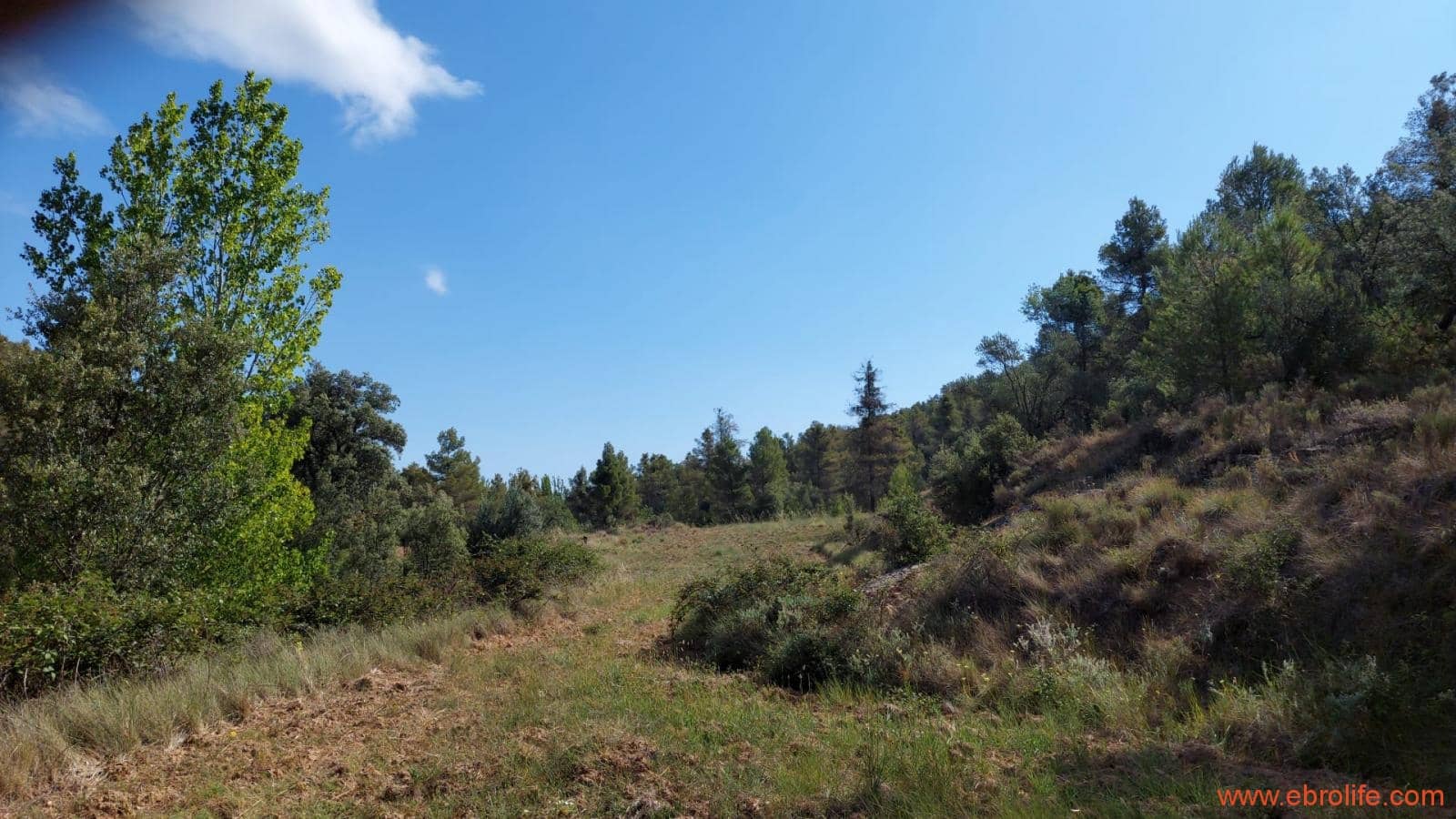 1 soveværelse Finca/Landehus til salg i Fornoles - € 70.000 (Ref: 8539772)