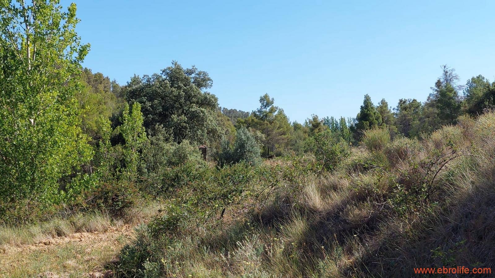 1 soveværelse Finca/Landehus til salg i Fornoles - € 70.000 (Ref: 8539772)