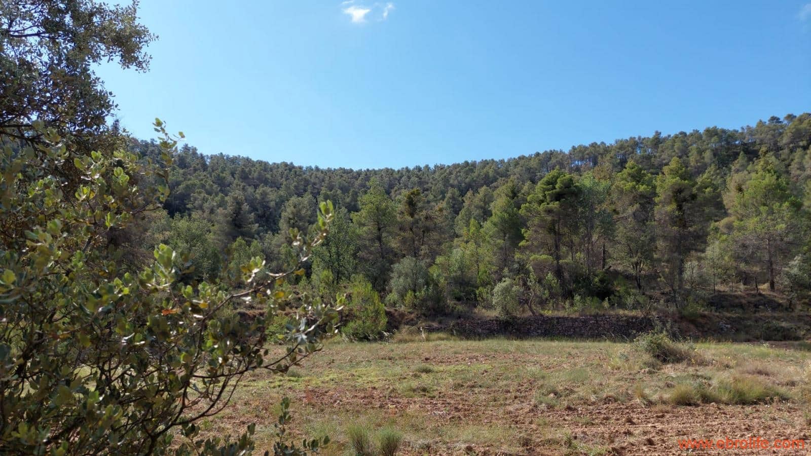 1 soveværelse Finca/Landehus til salg i Fornoles - € 70.000 (Ref: 8539772)