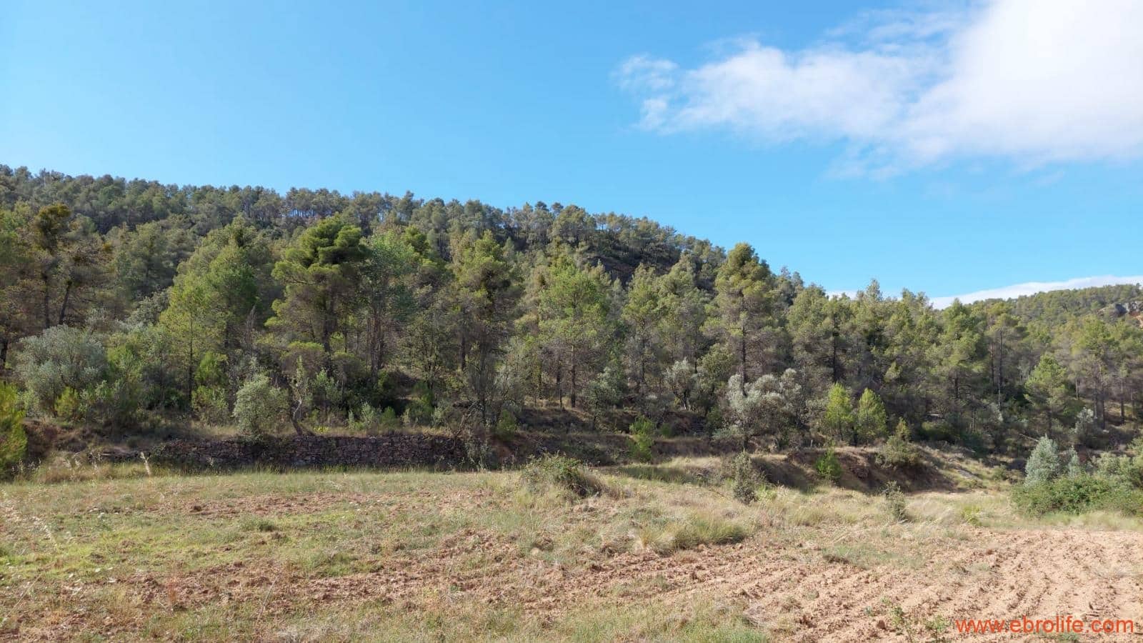 1 soveværelse Finca/Landehus til salg i Fornoles - € 70.000 (Ref: 8539772)