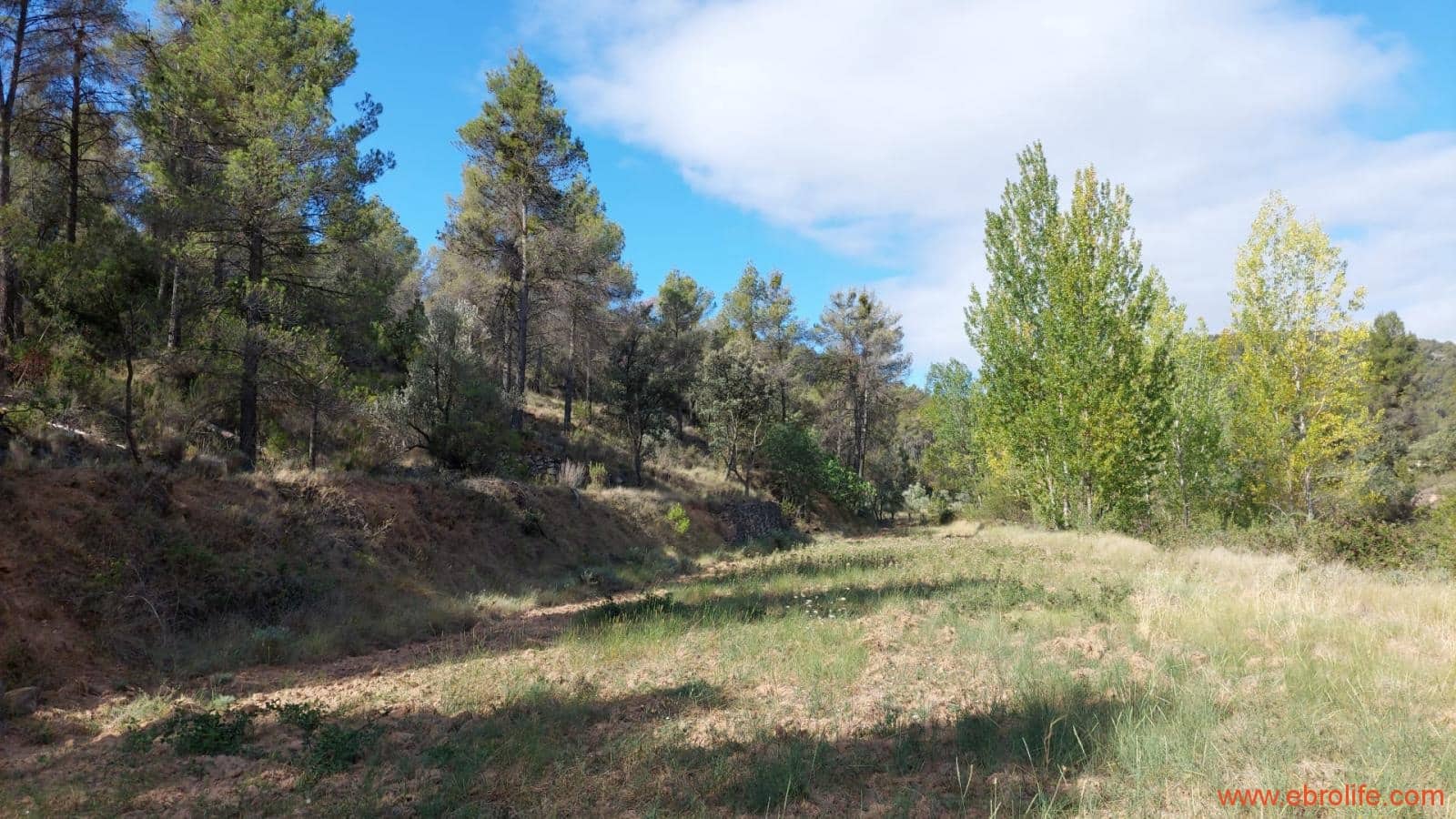 1 soveværelse Finca/Landehus til salg i Fornoles - € 70.000 (Ref: 8539772)