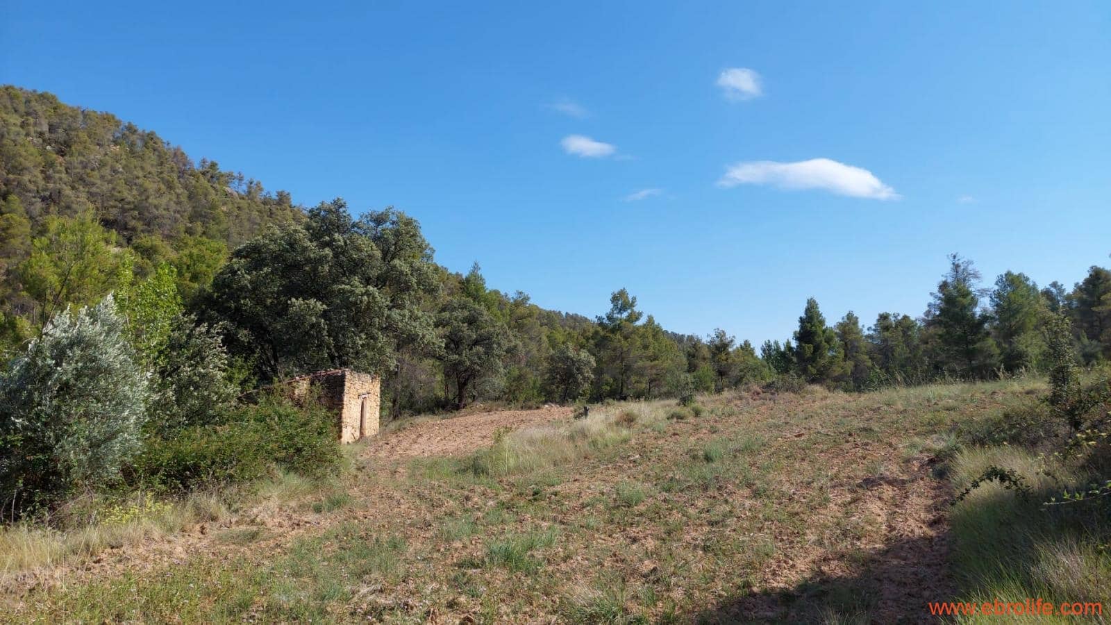 1 soveværelse Finca/Landehus til salg i Fornoles - € 70.000 (Ref: 8539772)