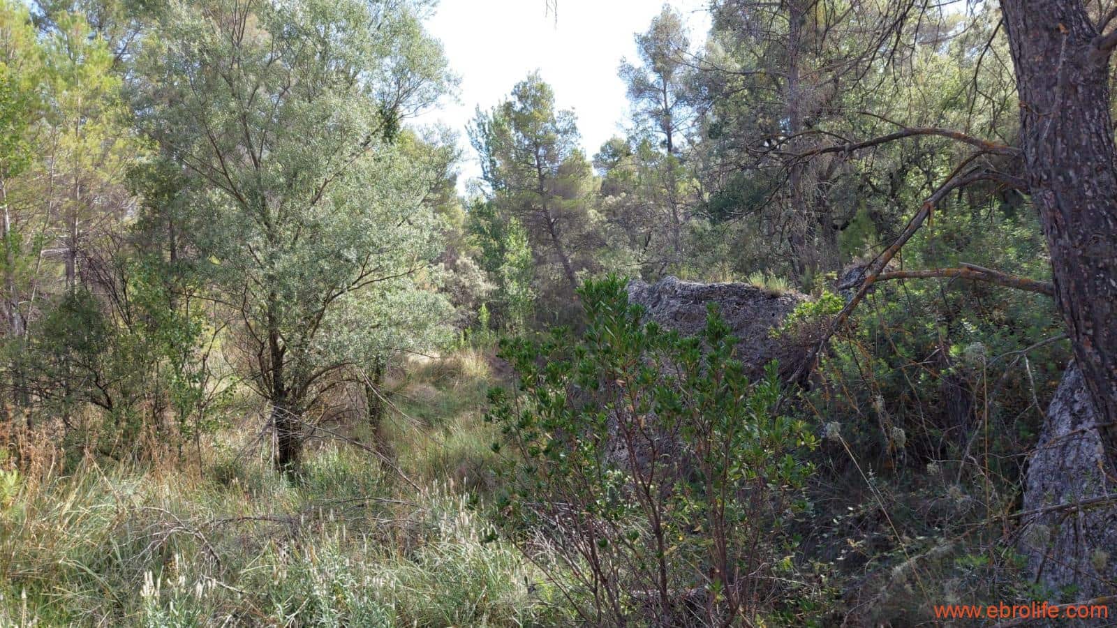 1 soveværelse Finca/Landehus til salg i Fornoles - € 70.000 (Ref: 8539772)